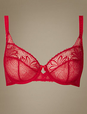 Arelia Lace Non-Padded Underwired Full Cup Bra Image 2 of 4