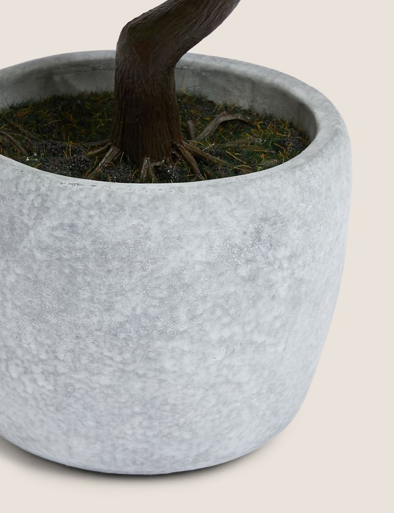 Artificial Bonsai Tree in Concrete Pot 2 of 4