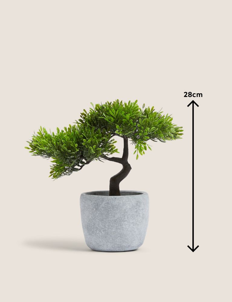 Artificial Bonsai Tree in Concrete Pot 4 of 4