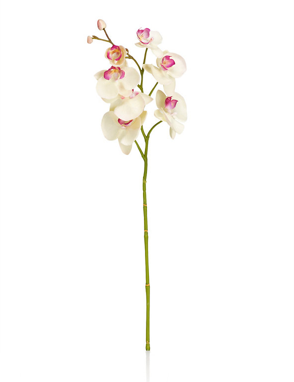 Artificial Classic Orchid Image 1 of 2
