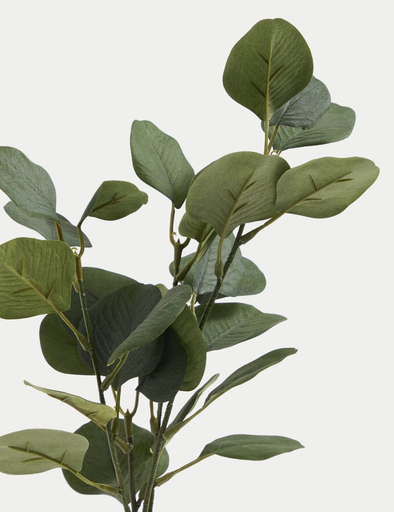 Artificial Eucalyptus Plant in Shaped Vase Moss & Sweetpea M&S
