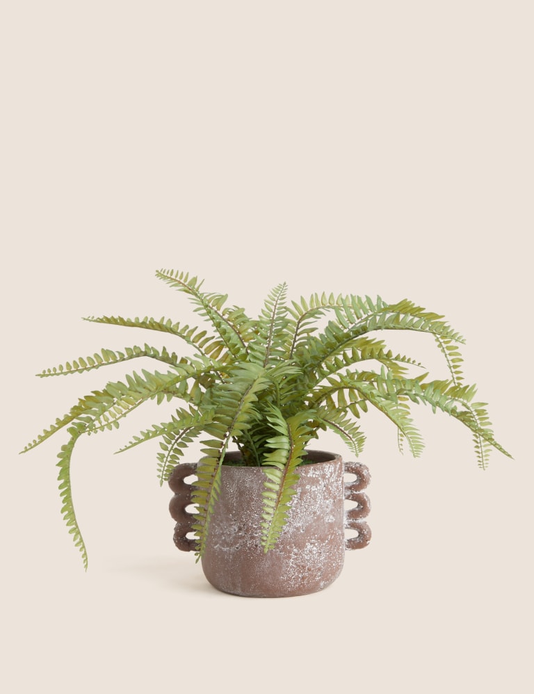 Artificial Fern Plant in Ceramic Pot 1 of 5