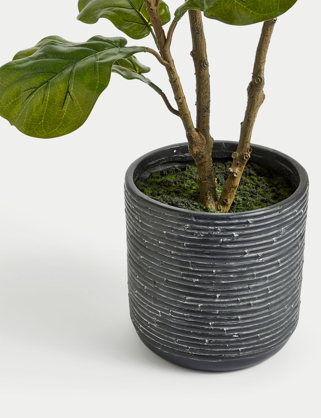 Artificial Fiddle Leaf Tree in Ceramic Pot 2 of 4