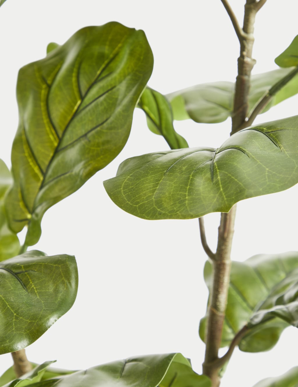 Artificial Fiddle Leaf Tree in Ceramic Pot Moss & Sweetpea M&S