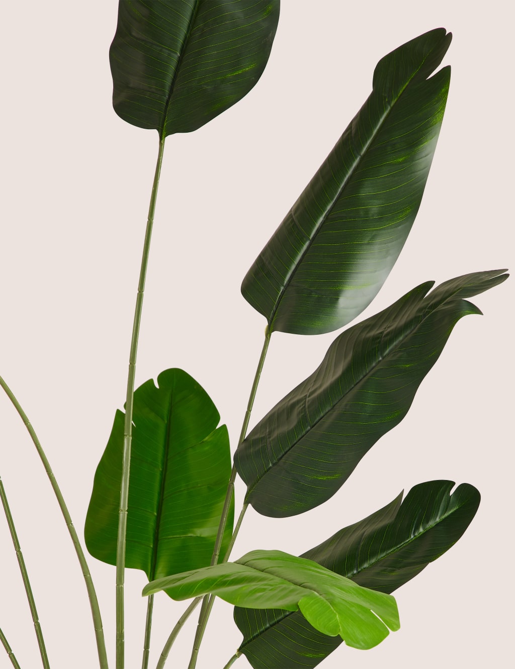 Artificial Floor Standing Banana Leaf Plant M&S