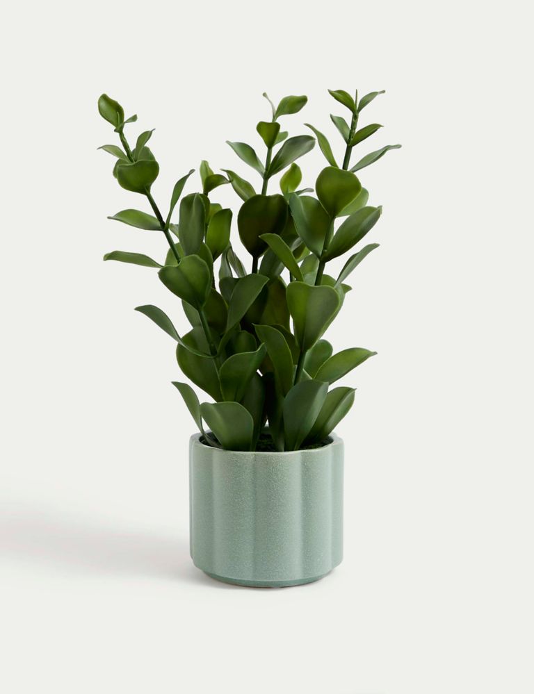 Artificial Green Plant in Ceramic Pot 1 of 3
