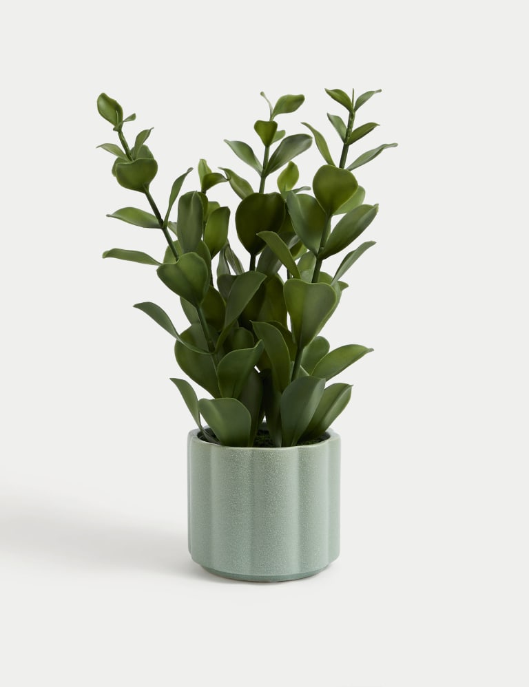 M&s outlet artificial plants
