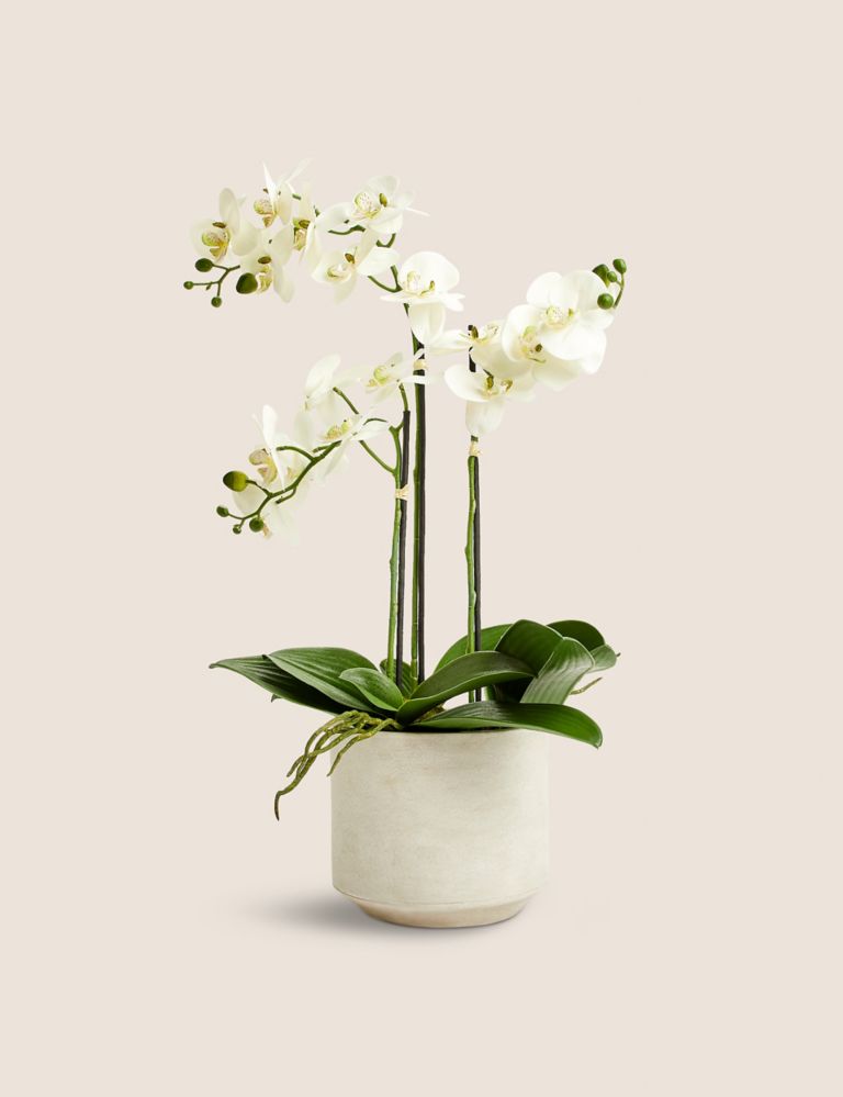 Artificial Large Orchid Plant 1 of 8