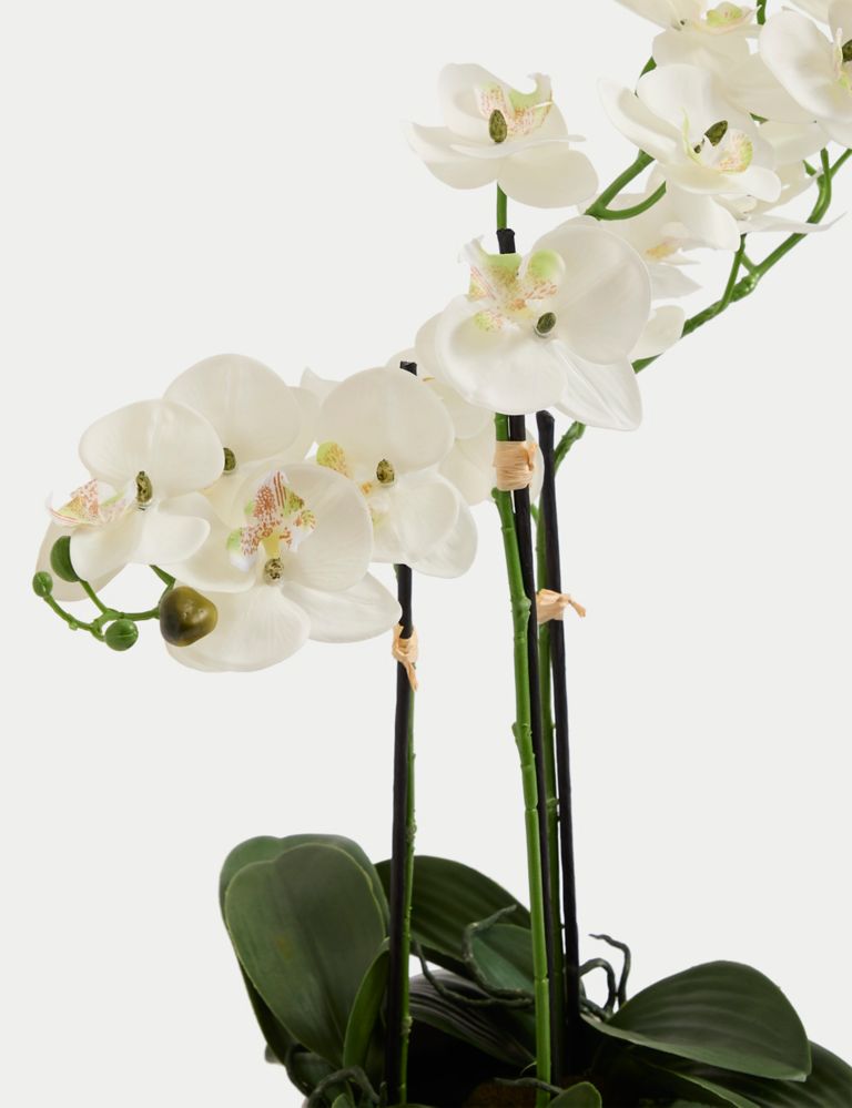 Artificial Large Orchid Plant 4 of 7