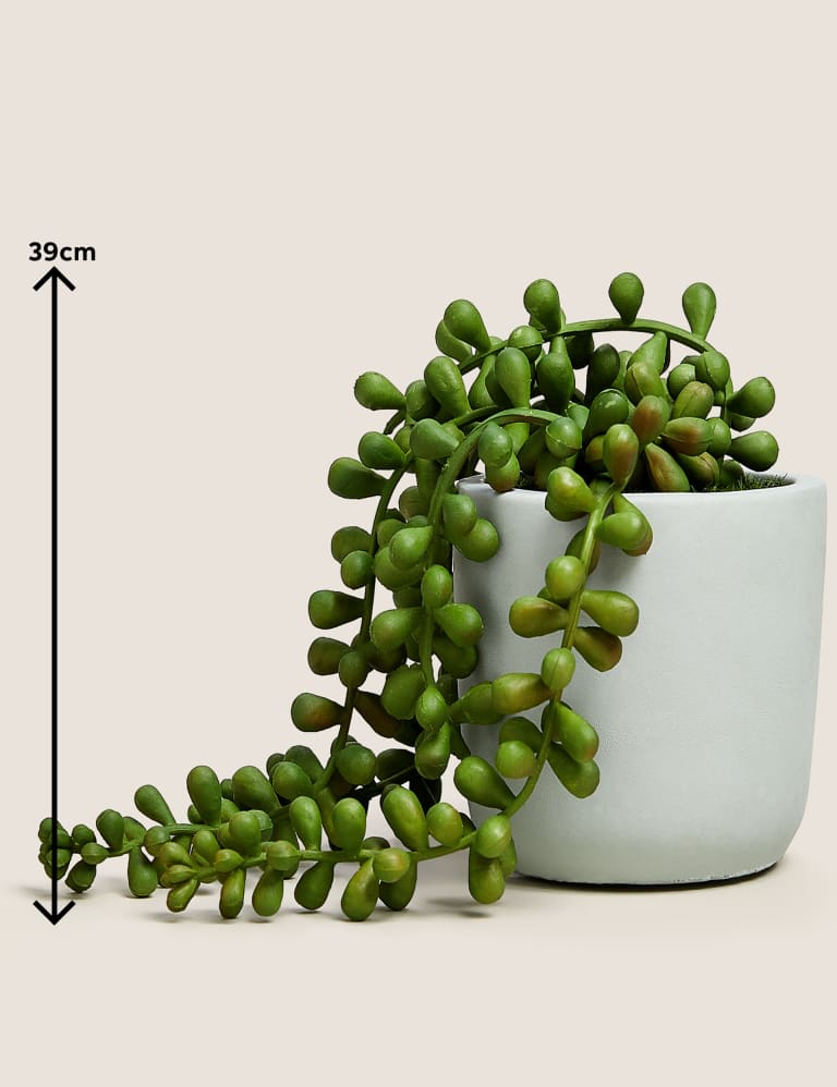 Artificial Plant STRING OF PEARLS in Ceramic Pot W/ Wood Stand