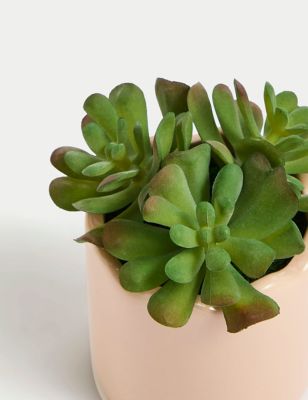 Artificial Mini Succulent Plant in Pot Image 2 of 3