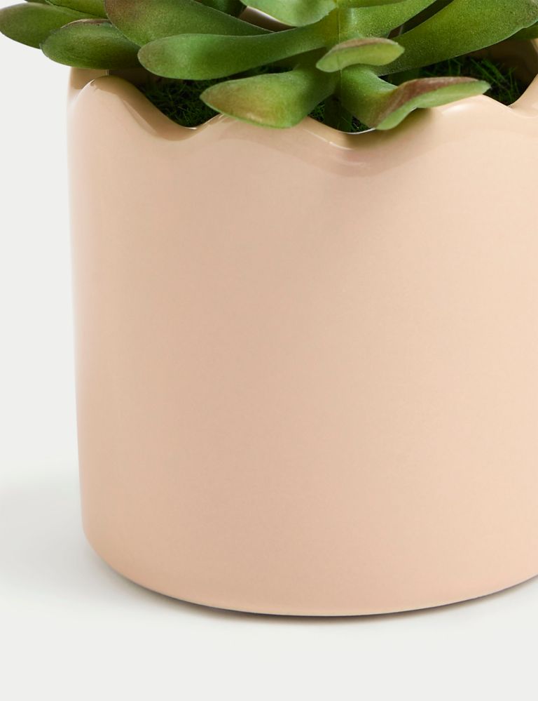 Artificial Mini Succulent Plant in Pot 3 of 3