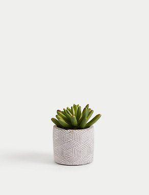 Artificial Mini Succulent in Concrete Pot Image 2 of 6