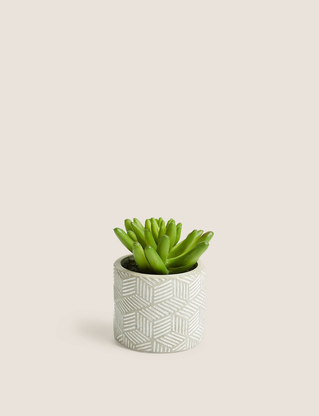 Artificial Mini Succulent in Concrete Pot 3 of 5