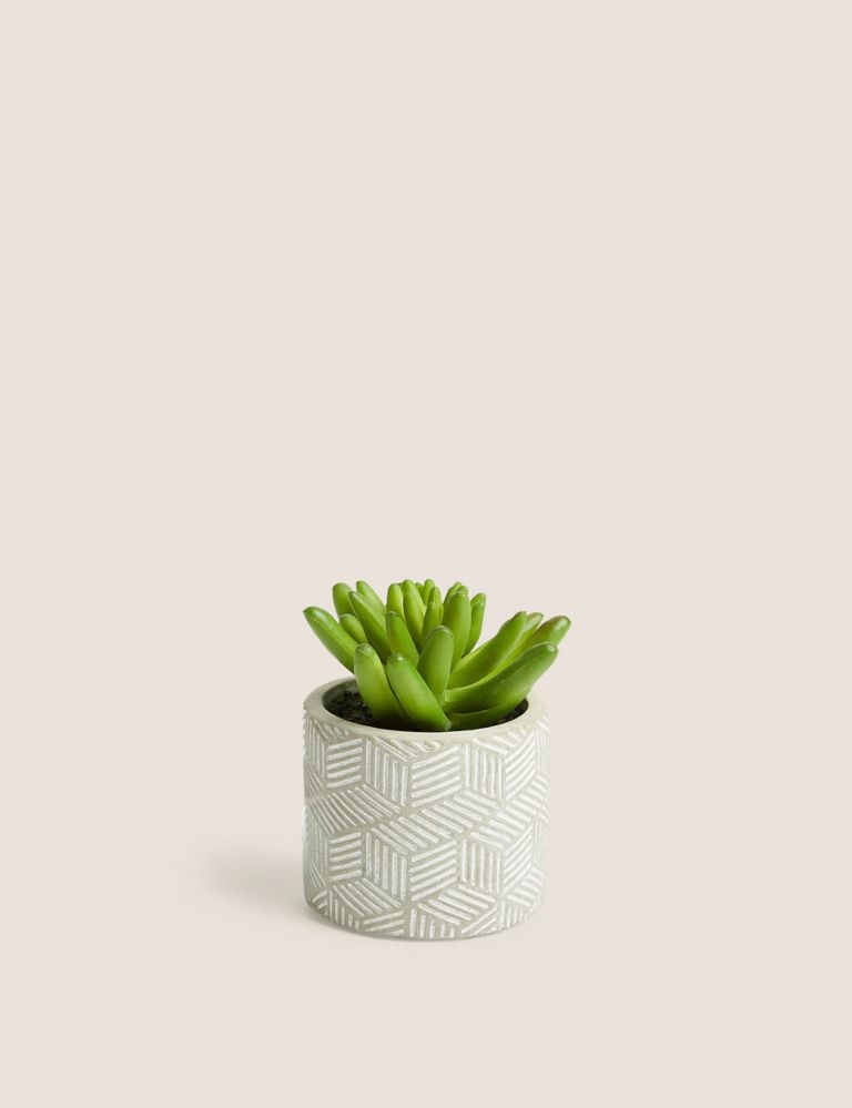 Artificial Mini Succulent in Concrete Pot 1 of 5