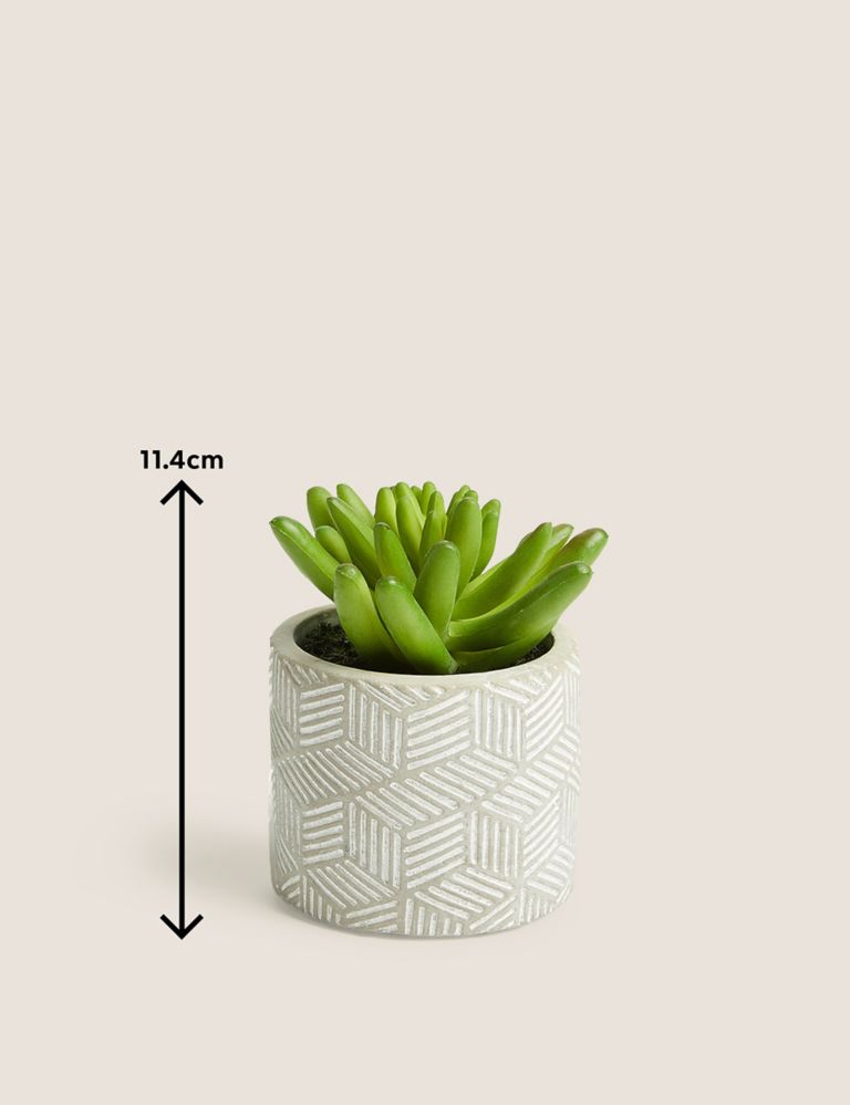 Artificial Mini Succulent in Concrete Pot 5 of 5