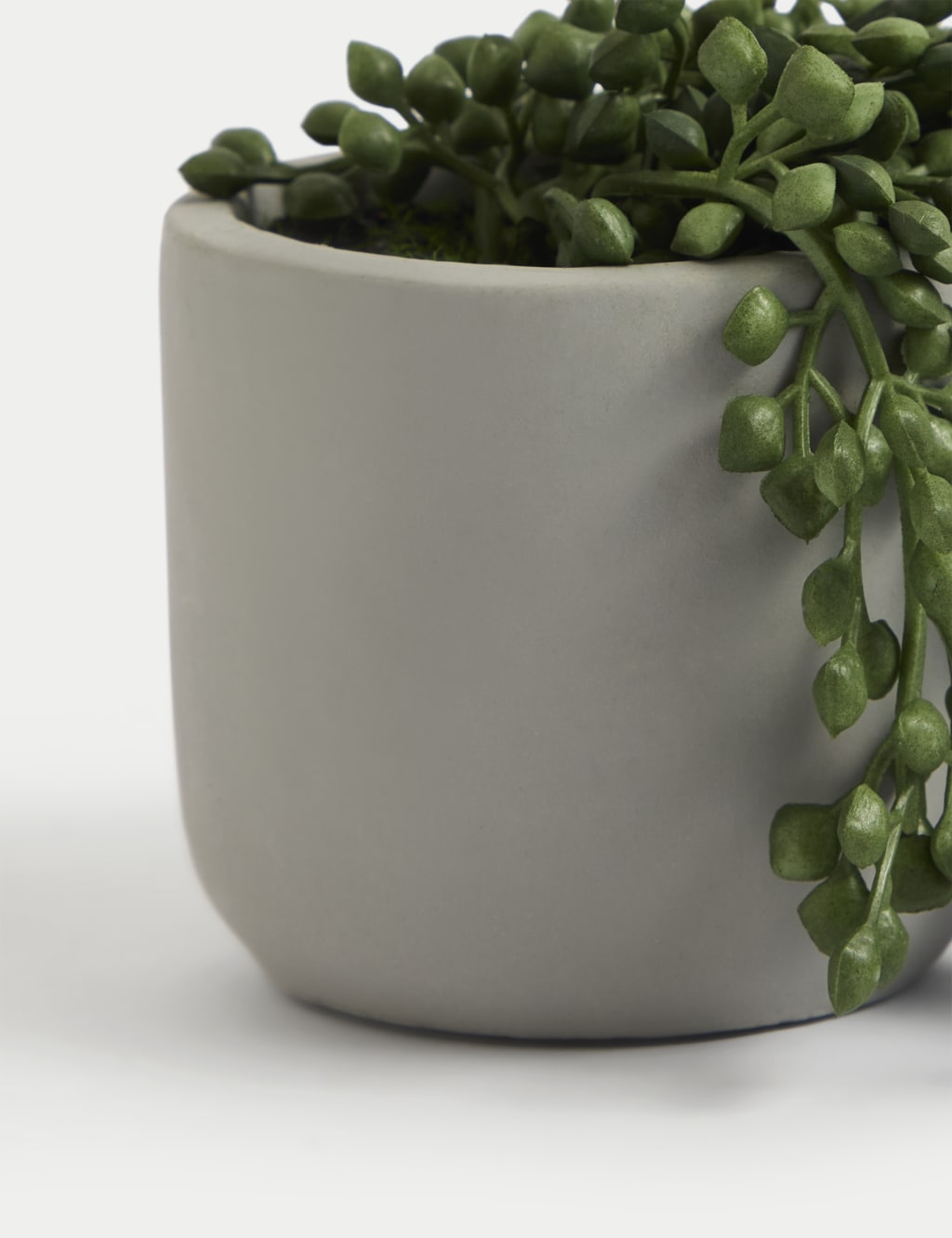 Artificial Mini Trailing Plant in Pot Moss & Sweetpea M&S