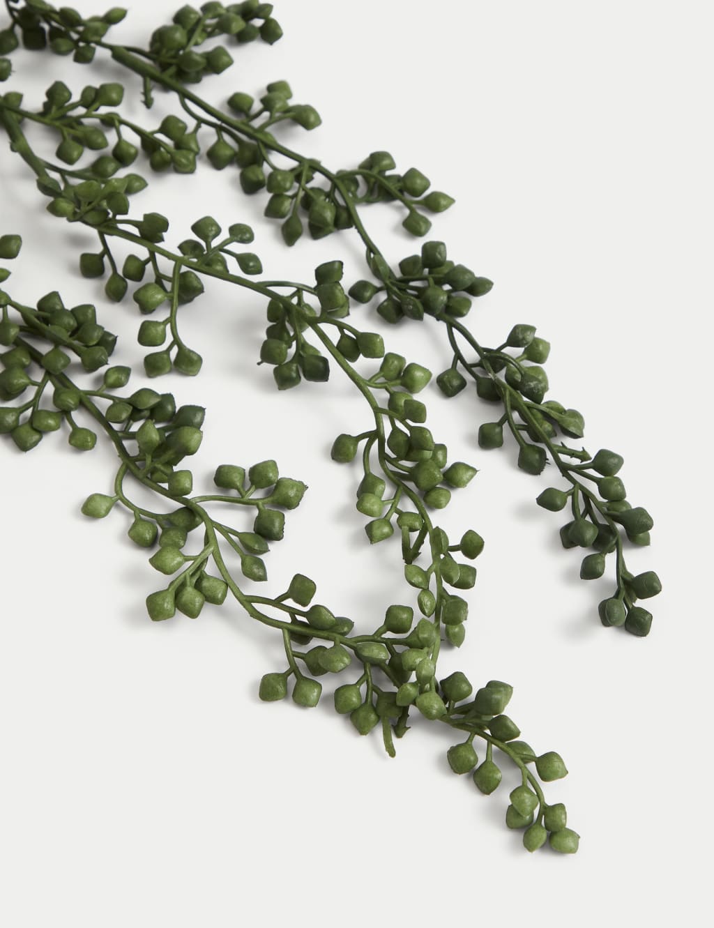 Marks and clearance spencer artificial plants