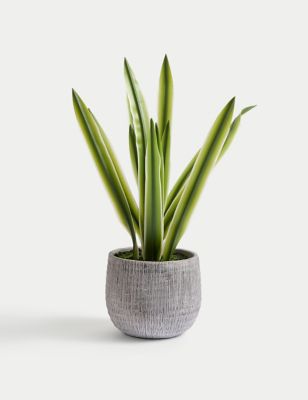 Artificial Natural Lily in Textured Pot Image 2 of 7