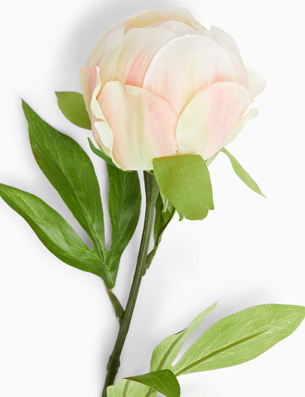 Artificial Peony Single Stem M&S