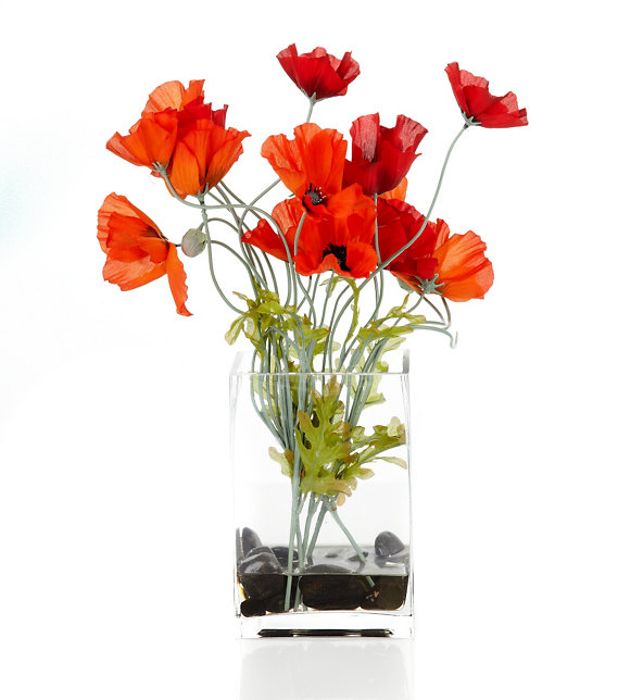 Artificial Poppy in Tank Vase Image 1 of 2