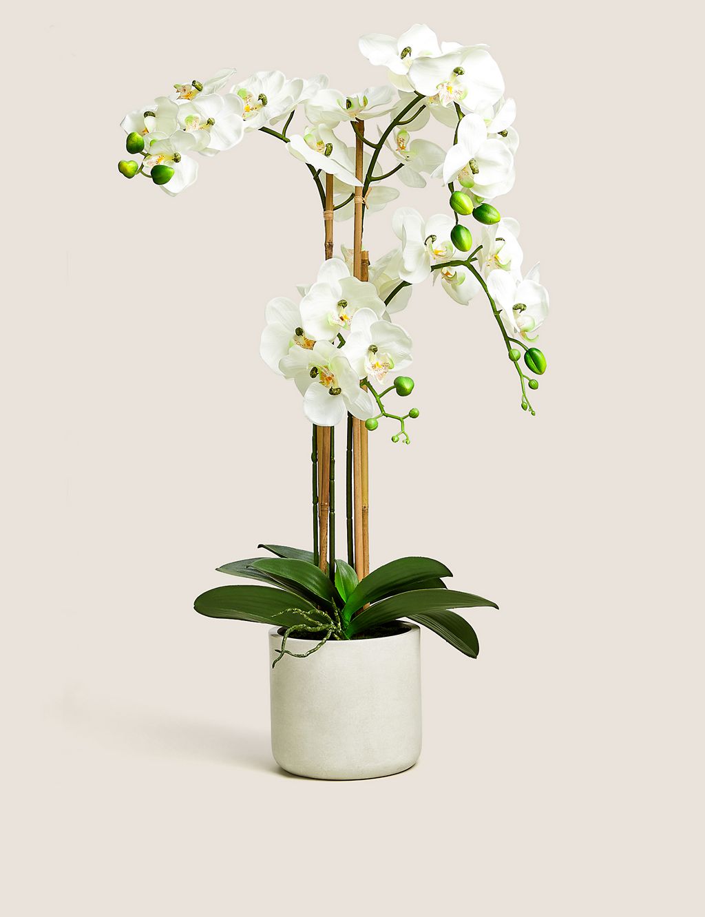 Artificial Real Touch Extra Large Orchid in Ceramic Pot 3 of 6