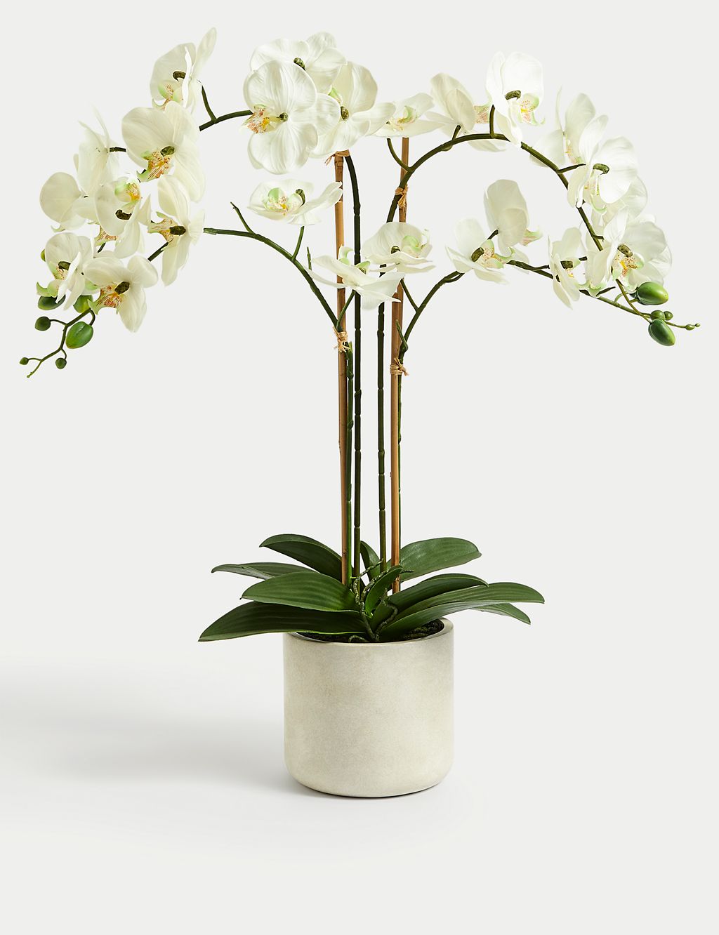 Artificial Real Touch Extra Large Orchid in Ceramic Pot 1 of 6