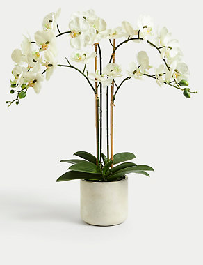 Artificial Real Touch Extra Large Orchid in Pot Image 2 of 6
