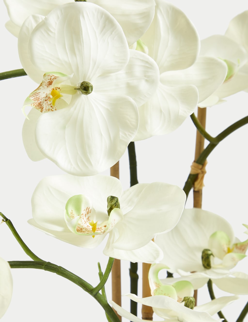 Tall artificial orchids deals