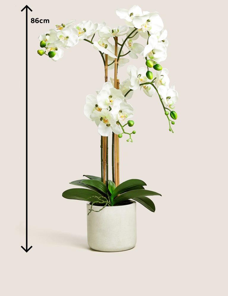 Artificial Real Touch Extra Large Orchid in Pot Moss Sweetpea