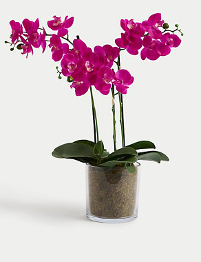 Artificial Real Touch Large Orchid in Glass Pot Image 2 of 4