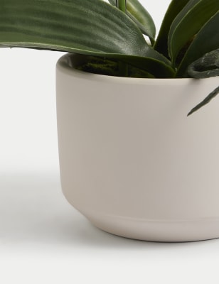 Artificial Real Touch Medium Orchid in Ceramic Pot Image 2 of 4