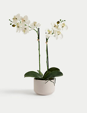 Artificial Real Touch Medium Orchid in Ceramic Pot Image 2 of 5
