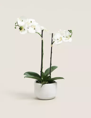 Artificial Real Touch Medium Orchid in Ceramic Pot 1 of 4