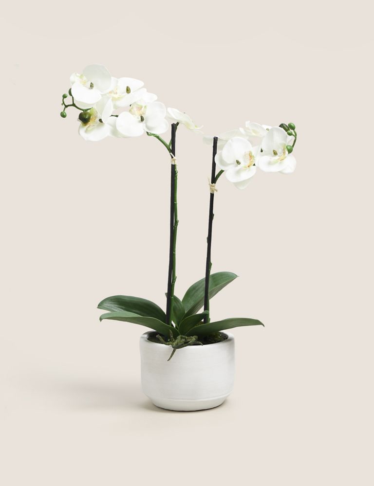 Artificial Real Touch Medium Orchid in Ceramic Pot 1 of 5