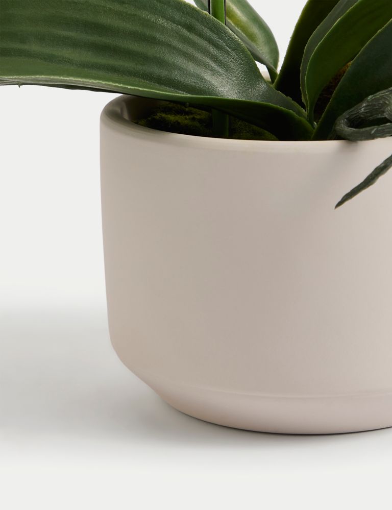 Artificial Real Touch Medium Orchid in Ceramic Pot 3 of 5