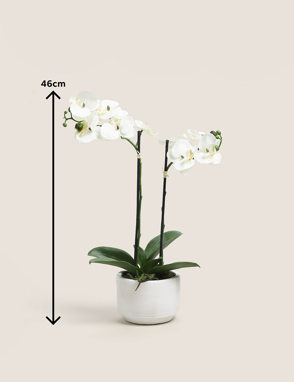 Artificial Real Touch Medium Orchid in Ceramic Pot 5 of 5