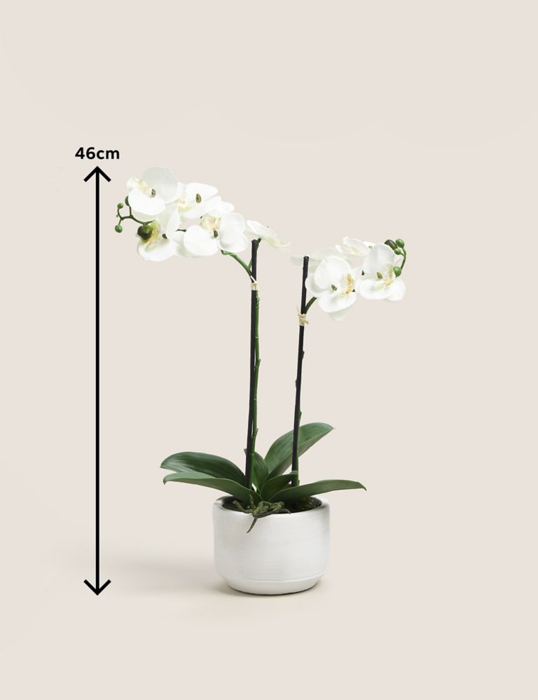 Artificial Real Touch Medium Orchid in Ceramic Pot 5 of 5