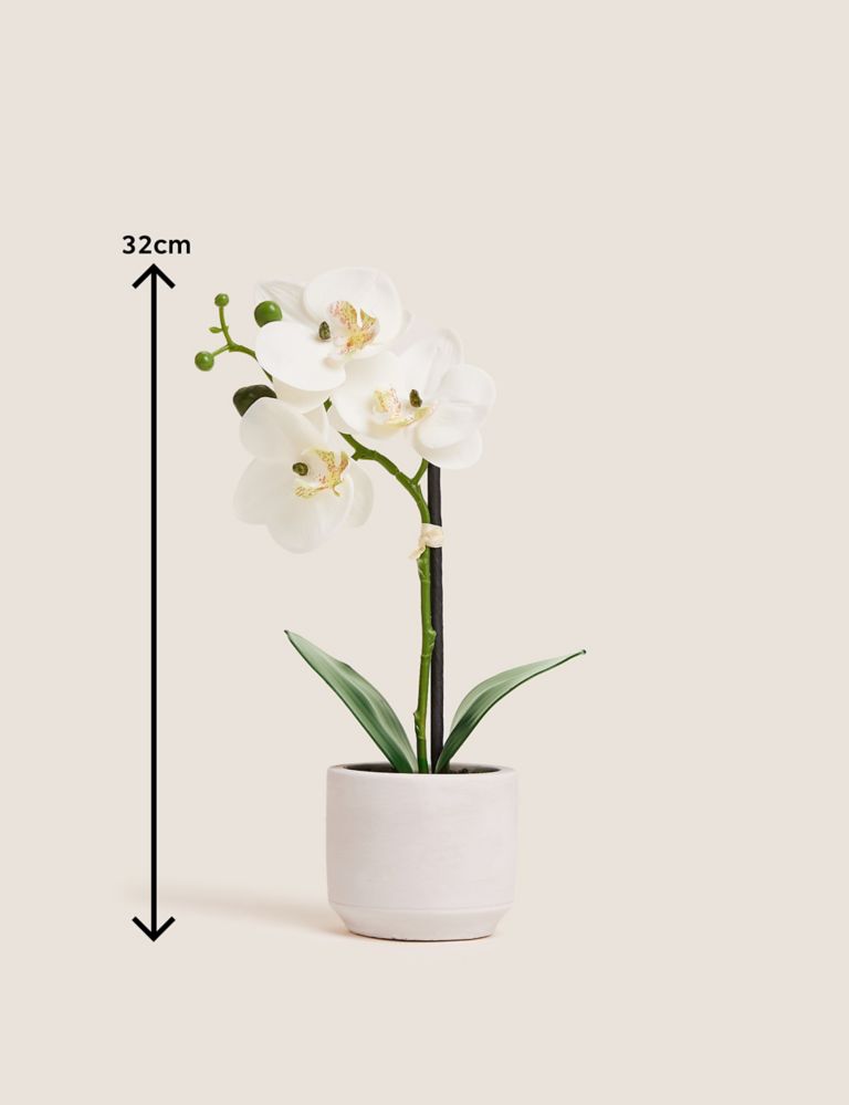 Artificial Real Touch Small Orchid in Pot 5 of 5