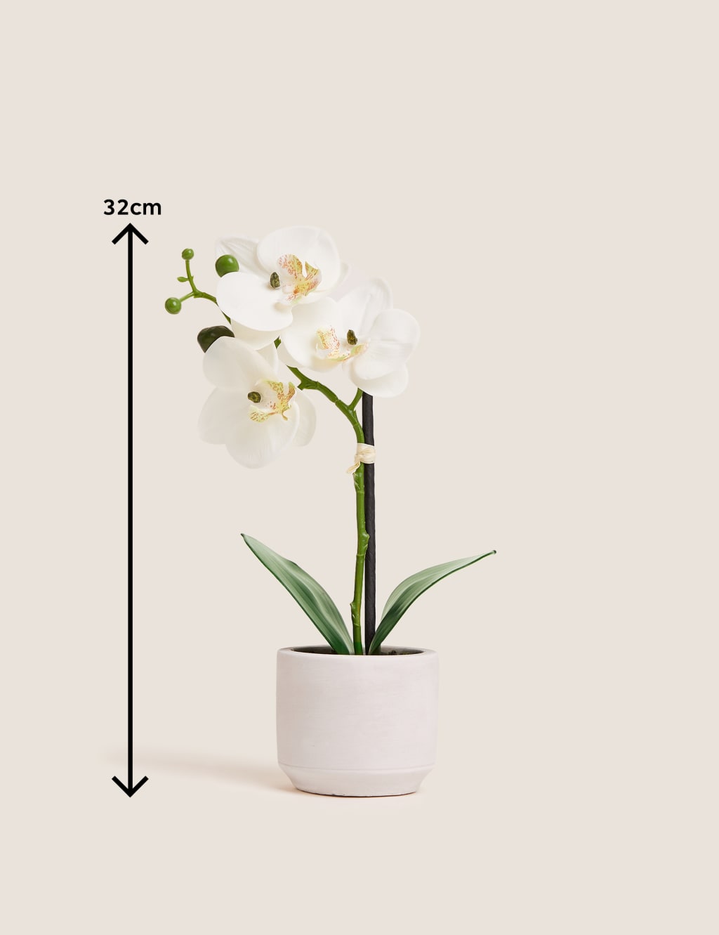 Artificial Real Touch Small Orchid in Pot Moss Sweetpea M S