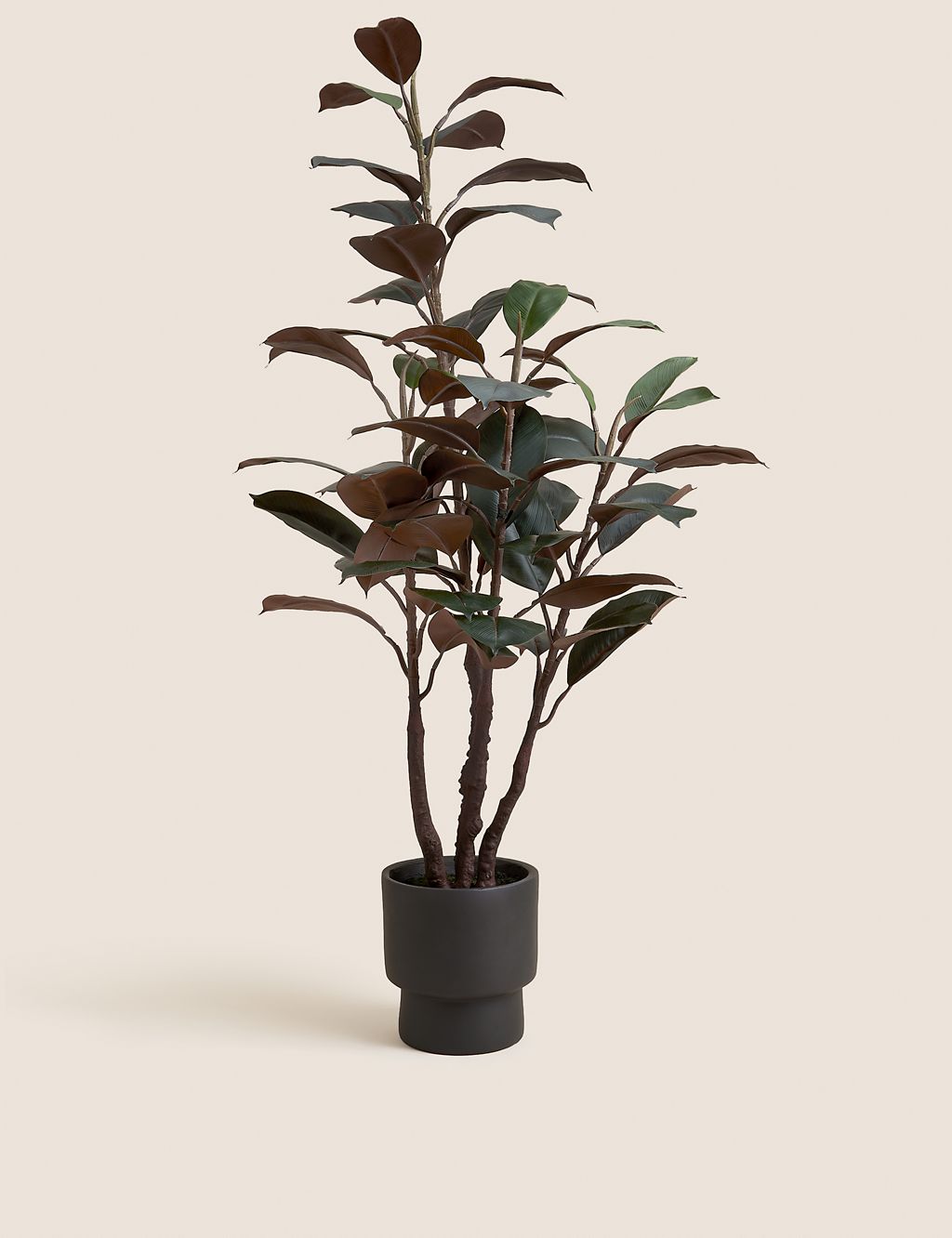 Artificial Rubber Plant in Cement Pot 3 of 4