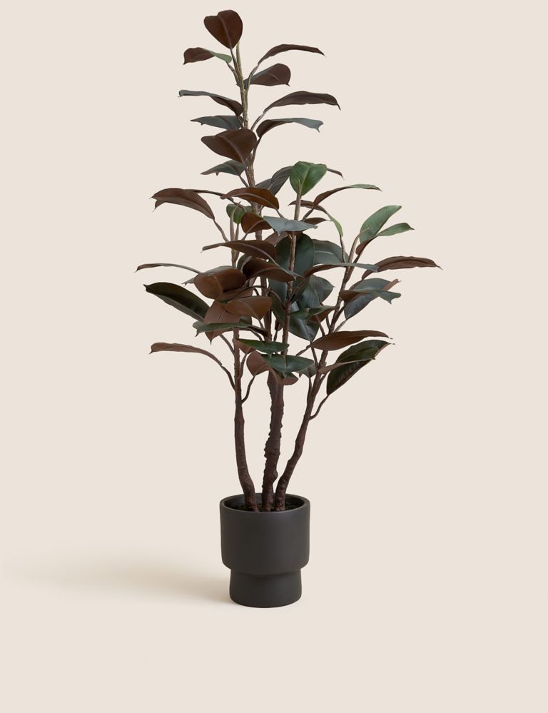 Artificial Rubber Plant in Cement Pot 1 of 4