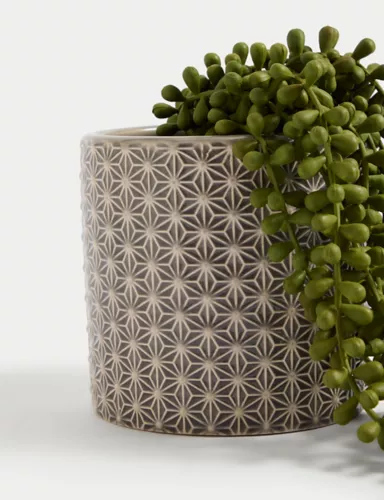 Artificial String of Pearls in Ceramic Pot 2 of 5