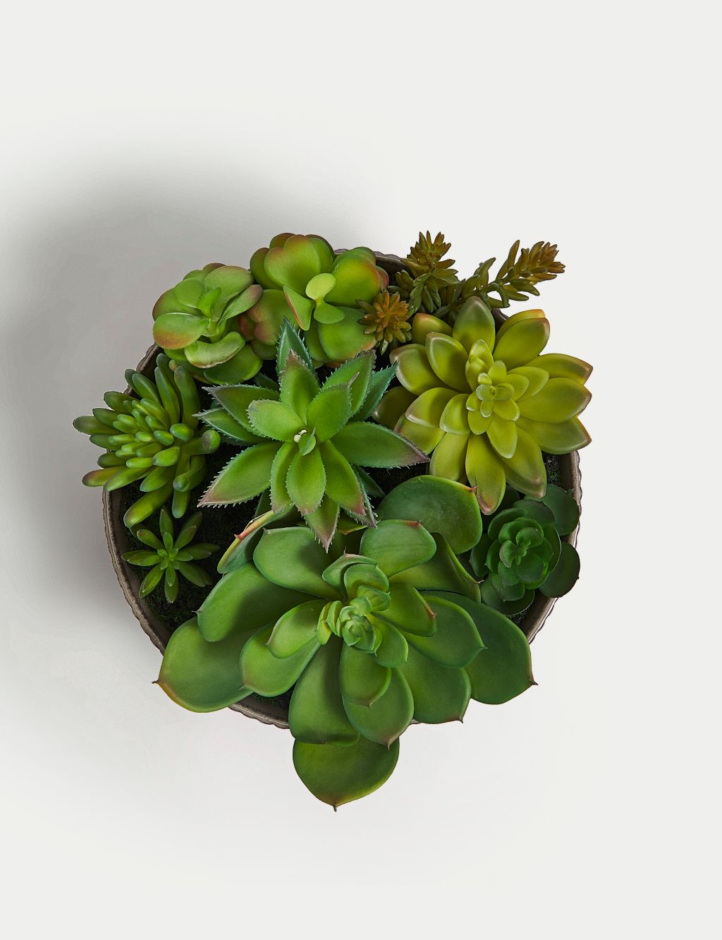 Artificial Succulent Garden in Ceramic Pot 4 of 4