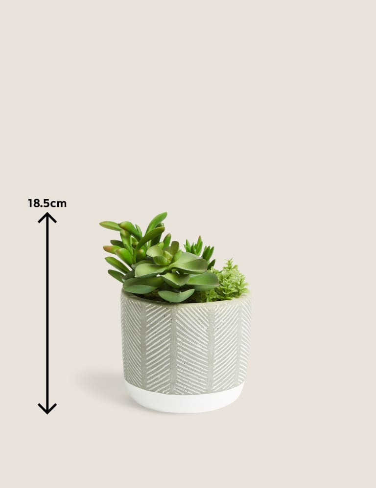 M&s on sale artificial plants