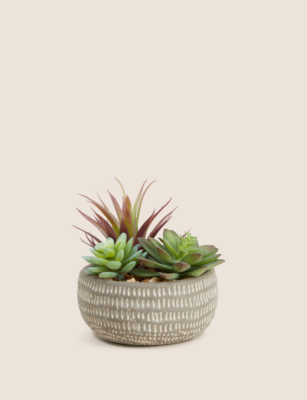 Artificial Succulents in Concrete Pot Moss Sweetpea M S
