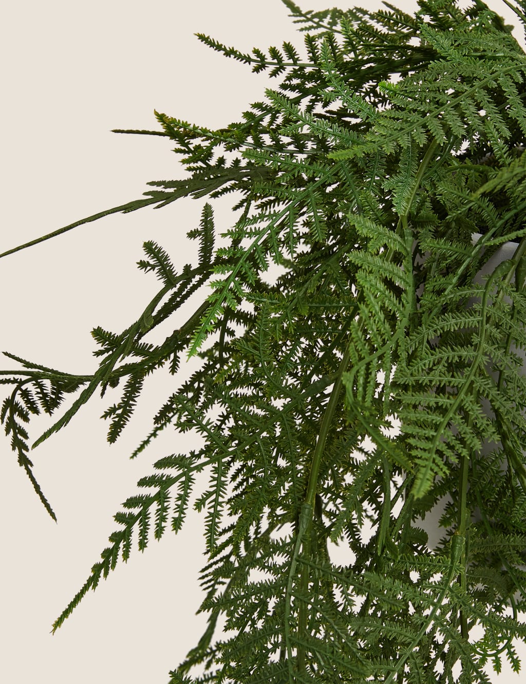 Artificial Trailing Asparagus Fern In Pot Moss & Sweetpea M&S
