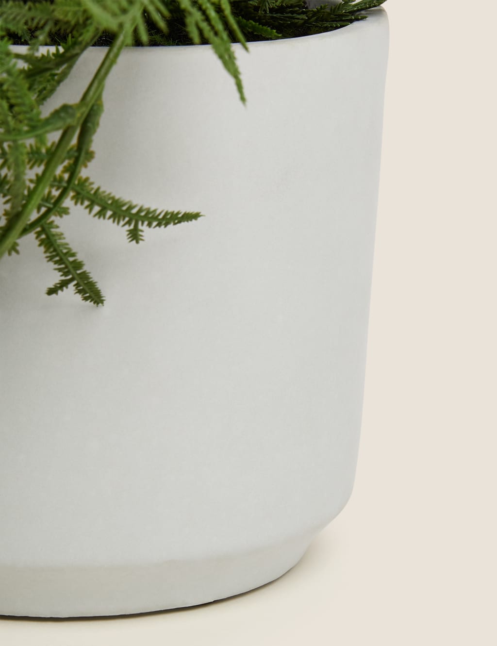 Artificial Trailing Asparagus Fern In Pot Moss & Sweetpea M&S