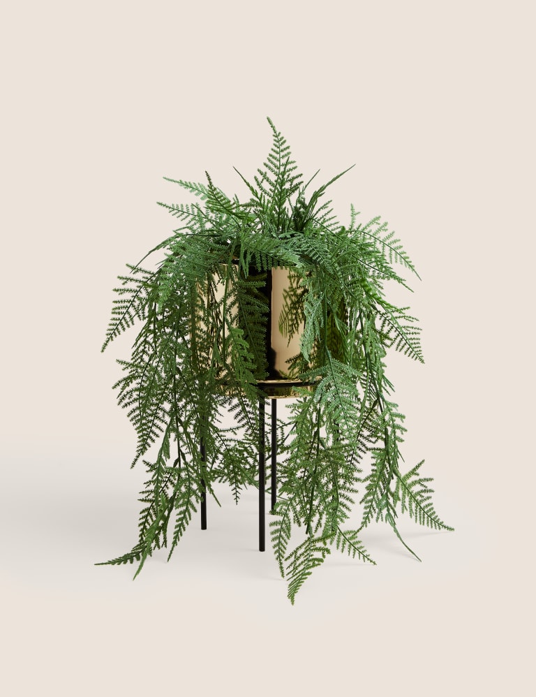 Artificial Trailing Asparagus Fern In Pot Moss & Sweetpea M&S