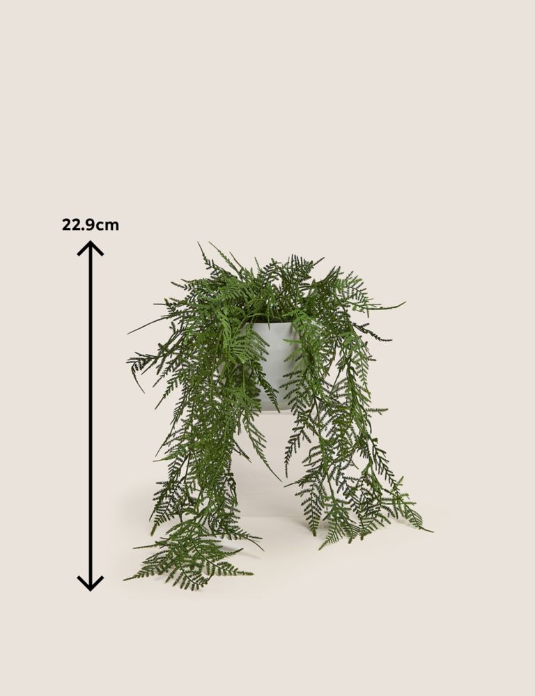 Artificial Trailing Asparagus Fern In Pot 5 of 5